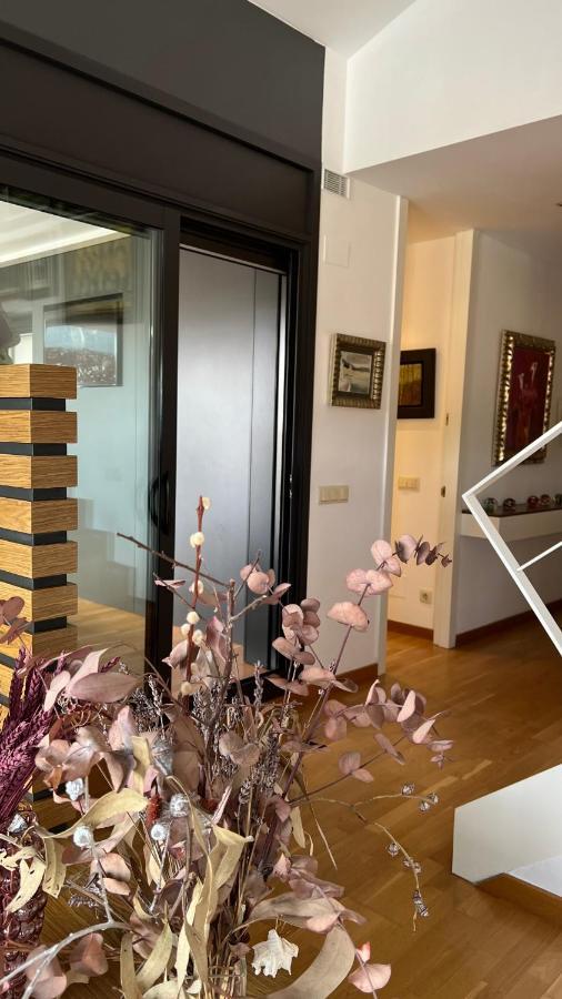 Atico De Diseno Con Terraza En El Centro De Olot Daire Dış mekan fotoğraf